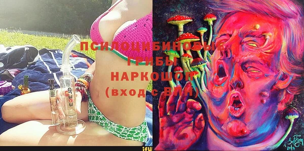 СК Алексеевка
