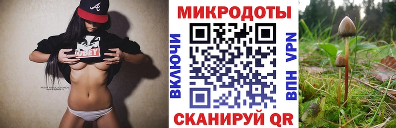 МЕГА ссылки  Пущино  Псилоцибиновые грибы Psilocybe 